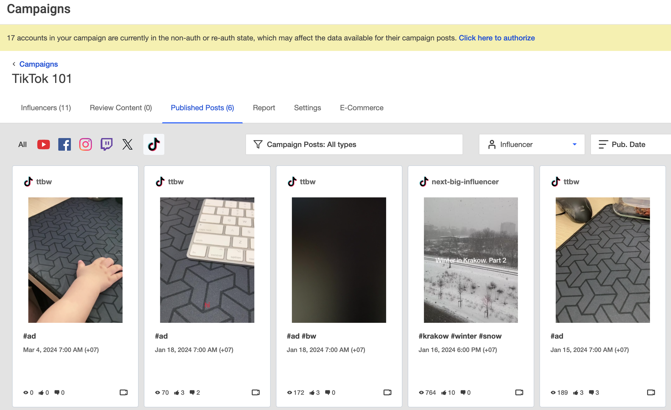 TikTok published posts in campaign.png