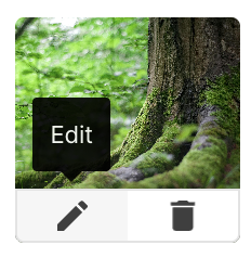 Edit image in Publish post editor.png