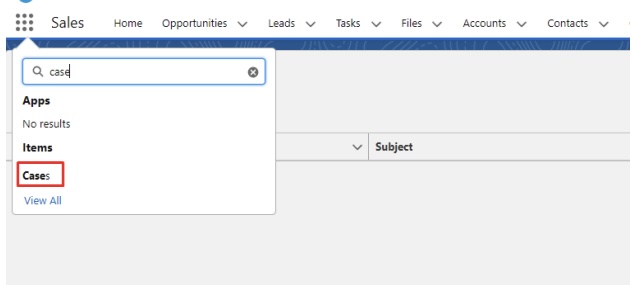 Cases in Salesforce.jpg