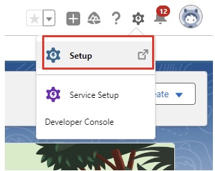 Setup in Salesforce.jpg