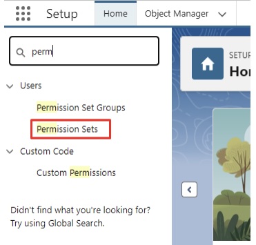 Permission sets in Salesforce.jpg